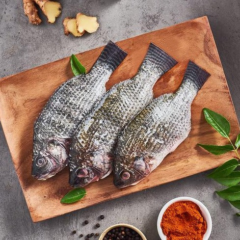 Fresh Tilapia Cleaned fish