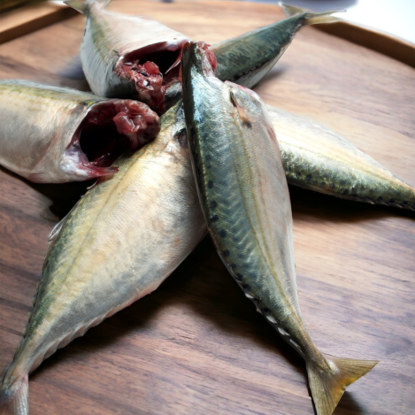 Freshly Frozen Mackerel 8/12 (1kg) – Medium Size Whole Mackerel, Premium Quality Fish
