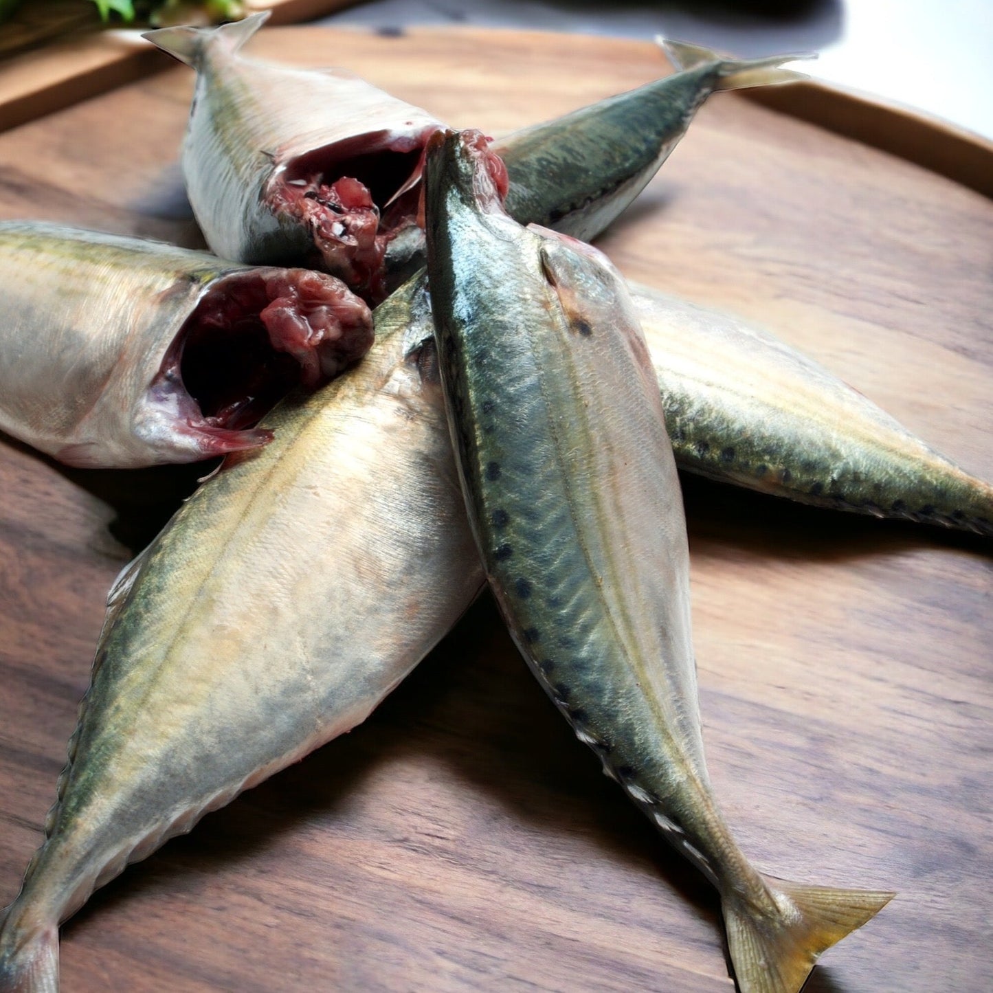Fresh Mackerel Gutted Head Off fish