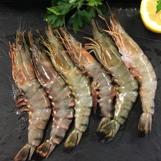 Fresh Jumbo prawns
