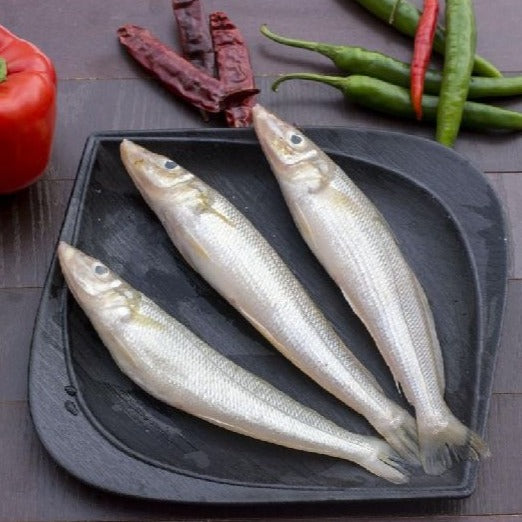 Fresh Jumbo lady Fish