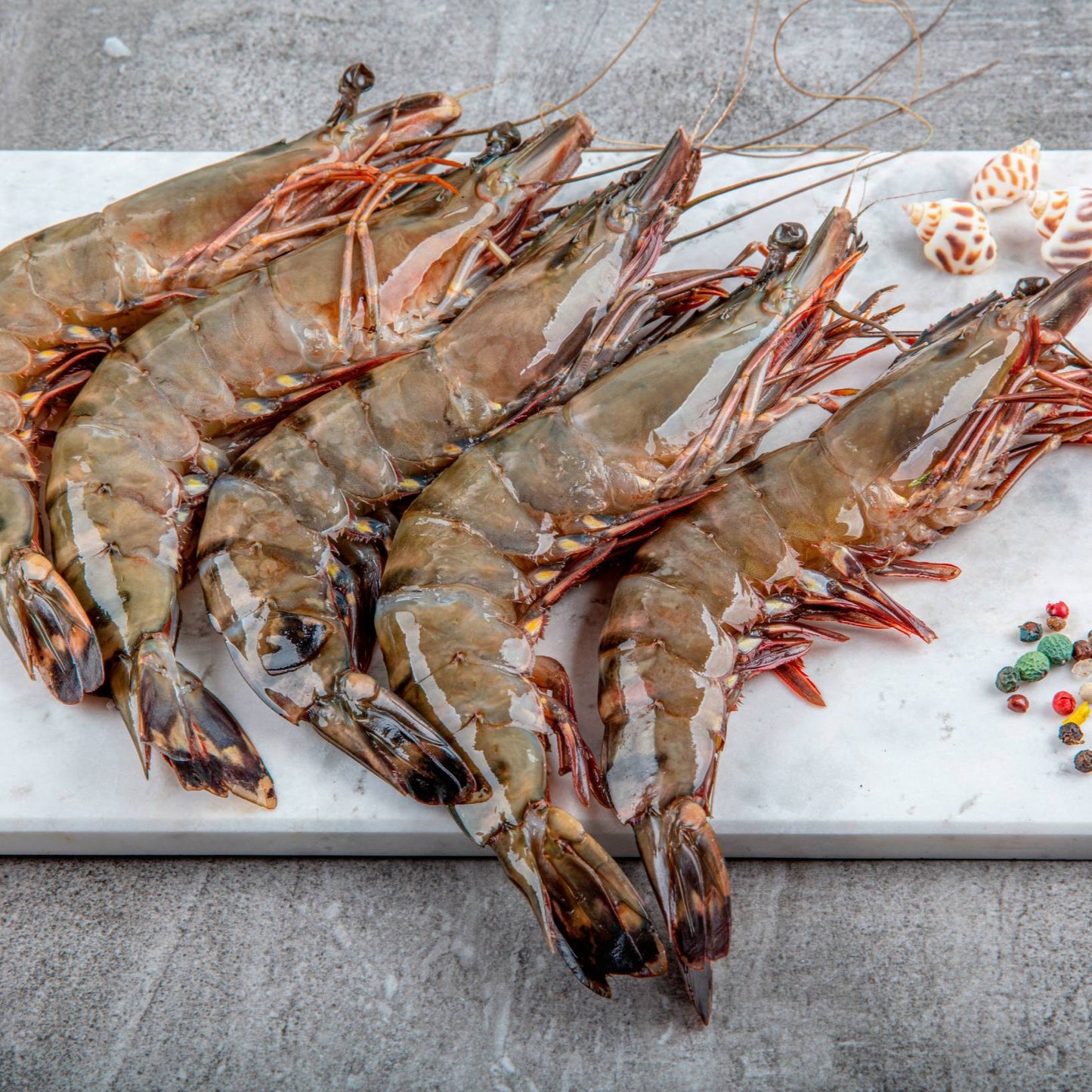 Fresh Big prawns